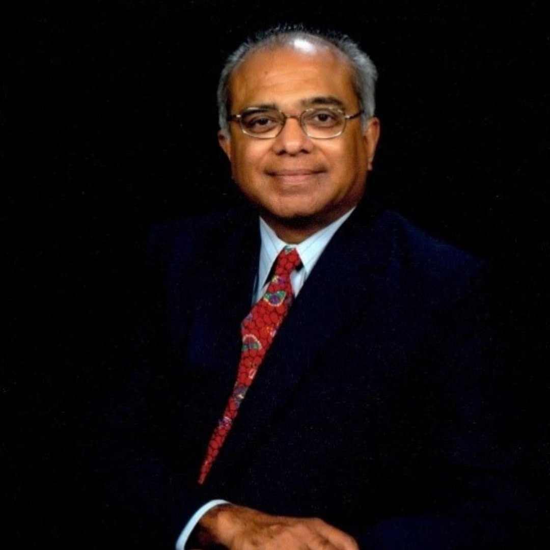 Re Sri Rao Srikumar Rao - The Sunflower Seeds