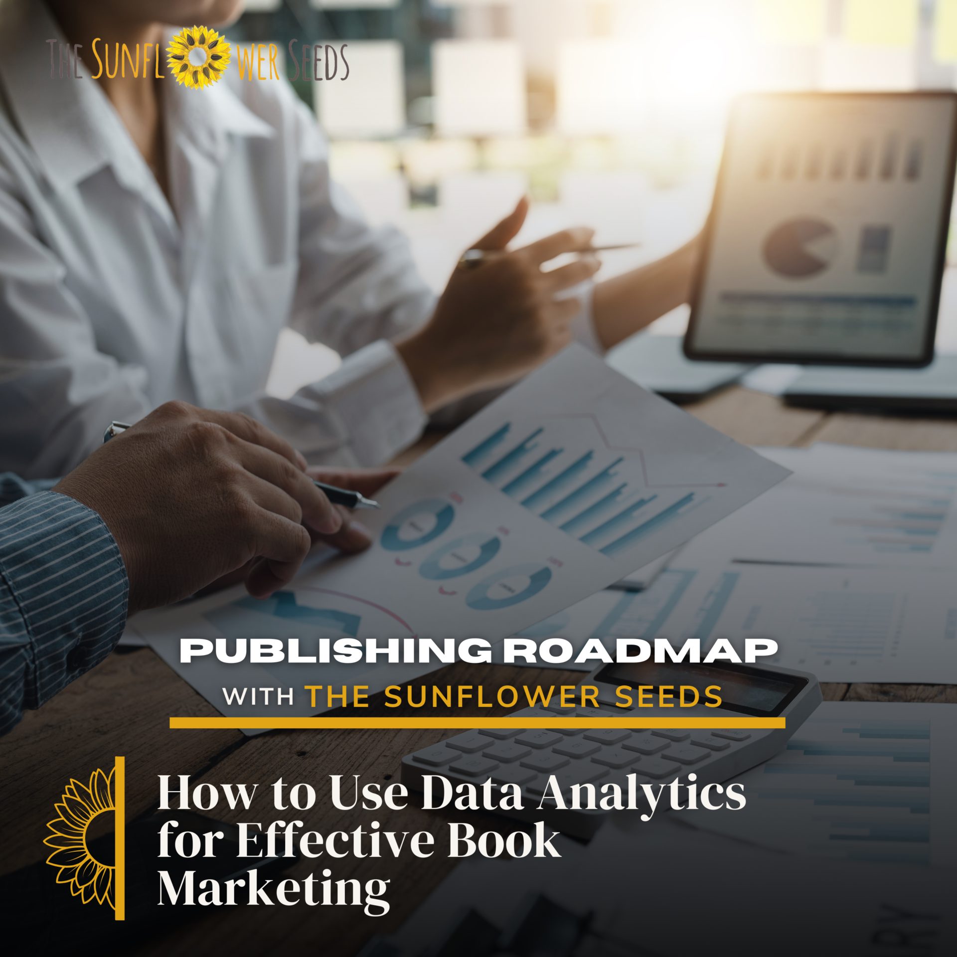 How to Use Data Analytics to Increase Book Sales & Track Marketing ...